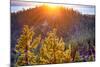 Nevada, Lake Tahoe at Sunset-Savanah Stewart-Mounted Photographic Print