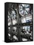 Nevada, Las Vegas, Mccarran International Airport, Slot Machines, USA-Walter Bibikow-Framed Stretched Canvas