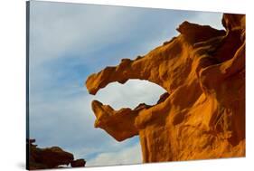 Nevada. Mesquite. Gold Butte National Monument, Little Finland Red Rock Sculptures, The Salmon Jaw-Bernard Friel-Stretched Canvas