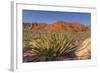 Nevada. Red Rock Canyon. Mojave Yucca Amidst the Desert Landscape-Brent Bergherm-Framed Photographic Print