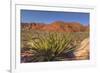 Nevada. Red Rock Canyon. Mojave Yucca Amidst the Desert Landscape-Brent Bergherm-Framed Photographic Print