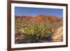 Nevada. Red Rock Canyon. Mojave Yucca Amidst the Desert Landscape-Brent Bergherm-Framed Photographic Print