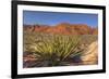 Nevada. Red Rock Canyon. Mojave Yucca Amidst the Desert Landscape-Brent Bergherm-Framed Photographic Print