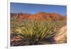 Nevada. Red Rock Canyon. Mojave Yucca Amidst the Desert Landscape-Brent Bergherm-Framed Photographic Print