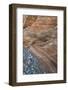 Nevada. Tree Growing from Crack in the Rock Bed in a Wash, Valley of Fire State Park-Judith Zimmerman-Framed Photographic Print
