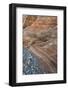 Nevada. Tree Growing from Crack in the Rock Bed in a Wash, Valley of Fire State Park-Judith Zimmerman-Framed Photographic Print