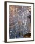 Nevada. Usa. Petroglyphs on Limestone. Arrow Canyon, Mojave Desert-Scott T. Smith-Framed Photographic Print