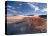 Nevada. Usa. Vegetation on Dunes Below Sand Mountain. Great Basin-Scott T. Smith-Stretched Canvas