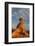 Nevada, Valley of Fire State Park. Sunset on Balancing Rock with Clouds in the Background-Judith Zimmerman-Framed Photographic Print