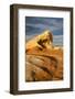 Nevada, Valley of Fire State Park. Unnamed Arch at Sunset with Cloud-Judith Zimmerman-Framed Photographic Print