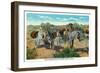 Nevada, View of an Old Prospector in the Desert with Burros-Lantern Press-Framed Art Print