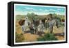 Nevada, View of an Old Prospector in the Desert with Burros-Lantern Press-Framed Stretched Canvas