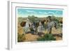 Nevada, View of an Old Prospector in the Desert with Burros-Lantern Press-Framed Art Print