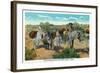 Nevada, View of an Old Prospector in the Desert with Burros-Lantern Press-Framed Art Print