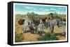 Nevada, View of an Old Prospector in the Desert with Burros-Lantern Press-Framed Stretched Canvas