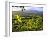 Nevado Del Huila, Colombia, South America-Christian Heeb-Framed Photographic Print