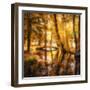 Never Be Another Day-Philippe Sainte-Laudy-Framed Photographic Print