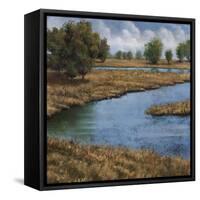 Never Ending River I-Jason Jarava-Framed Stretched Canvas