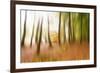 Never Ending Story-Viviane Fedieu Daniel-Framed Photographic Print