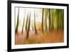 Never Ending Story-Viviane Fedieu Daniel-Framed Photographic Print