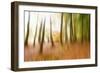 Never Ending Story-Viviane Fedieu Daniel-Framed Photographic Print