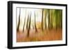 Never Ending Story-Viviane Fedieu Daniel-Framed Photographic Print