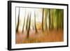 Never Ending Story-Viviane Fedieu Daniel-Framed Photographic Print