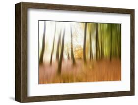 Never Ending Story-Viviane Fedieu Daniel-Framed Photographic Print