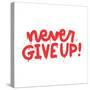 Never Give up - Motivational Quote in Wall Art Style. Spray Paint Urban Graffiti Text. Isolated Han-Svetlana Shamshurina-Stretched Canvas