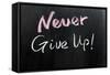 Never Give Up!-Raywoo-Framed Stretched Canvas