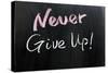 Never Give Up!-Raywoo-Stretched Canvas