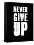 Never Give Up-null-Framed Stretched Canvas