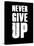 Never Give Up-null-Stretched Canvas