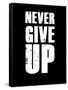 Never Give Up-null-Framed Stretched Canvas