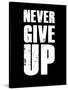 Never Give Up-null-Stretched Canvas