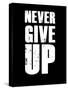 Never Give Up-null-Stretched Canvas