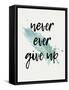 Never give Up-Kimberly Allen-Framed Stretched Canvas
