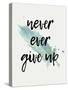 Never give Up-Kimberly Allen-Stretched Canvas