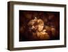 Never Hold Back-Philippe Sainte-Laudy-Framed Photographic Print