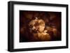 Never Hold Back-Philippe Sainte-Laudy-Framed Photographic Print