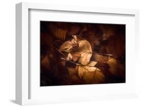 Never Hold Back-Philippe Sainte-Laudy-Framed Photographic Print