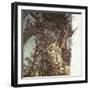 Never So Weary, Never So Woeful, Illustration to 'A Midsummer Night's Dream', 1908-Arthur Rackham-Framed Giclee Print