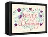 Never Stop Dreaming-null-Framed Stretched Canvas