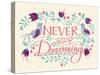 Never Stop Dreaming-null-Stretched Canvas