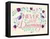 Never Stop Dreaming-null-Framed Stretched Canvas