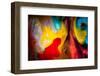 Never Tease a Weasel-Ursula Abresch-Framed Photographic Print