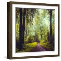 Never the Same Again-Dirk Wuestenhagen-Framed Photographic Print