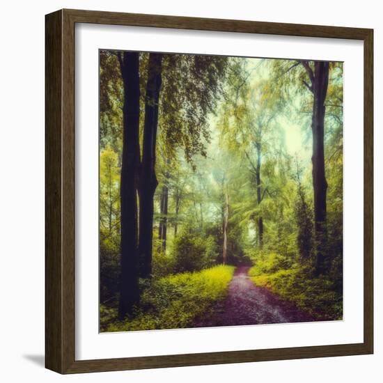 Never the Same Again-Dirk Wuestenhagen-Framed Photographic Print