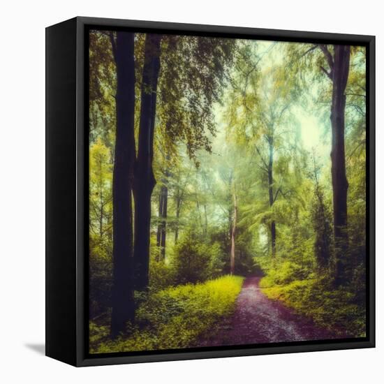 Never the Same Again-Dirk Wuestenhagen-Framed Stretched Canvas