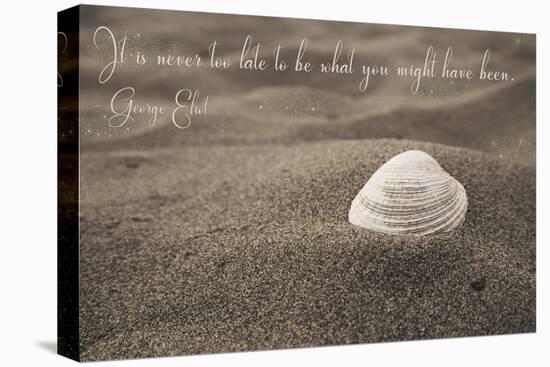 Never Too Late-Tina Lavoie-Stretched Canvas